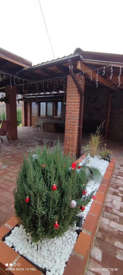 View Cozia Villa Călimăneşti Bagian luar foto